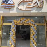 ملک عابدی پروفایل