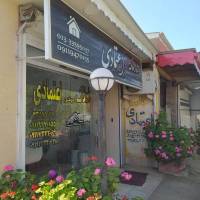 مهدی اعتمادی  پروفایل