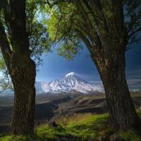 شیرمحمدی پروفایل
