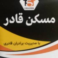 مجتبی قادری پروفایل
