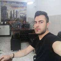 محمد نوروزی پروفایل