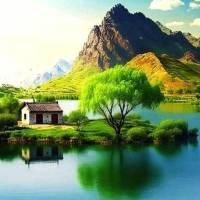 مشاور املاک معلم پروفایل