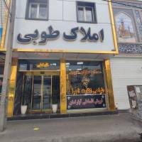 مرتضوی پروفایل