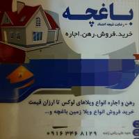 سید علی رکنی زاده پروفایل