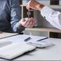 رضا وکیلی پروفایل