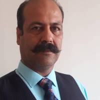 حمیدرضا صادقی پروفایل
