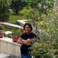 ریحانی پروفایل