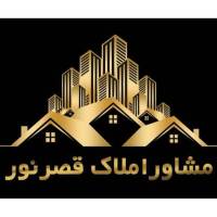 امیر شاهمرادی پروفایل