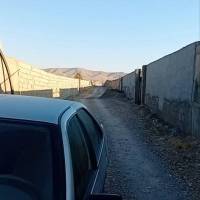 پوریا پروفایل