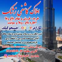حمید کاشفی پروفایل
