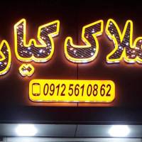 سعید کیهانی فر پروفایل