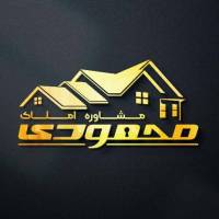 سالار محمودی پروفایل
