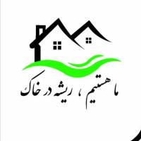 مهدی فردوسی پروفایل
