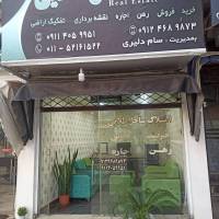 سام دلیری پروفایل