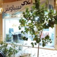 مشاور املاک سیاوش پروفایل