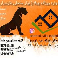 سعید یزدانی نیا پروفایل