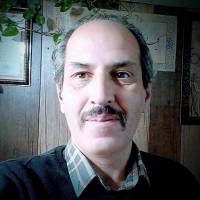 صادق شالی پروفایل