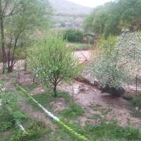 املاک کنار دشت پروفایل