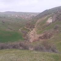 علی دولتی پروفایل