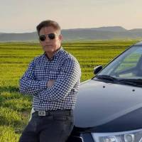 موسایی پروفایل