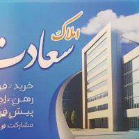 مشاور مسعود محمودی پروفایل