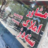 شورش صیدی پروفایل