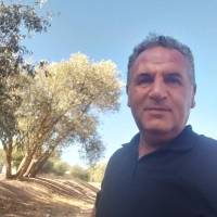 رضا عادل دارابی پروفایل