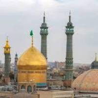 علیرضا پروفایل