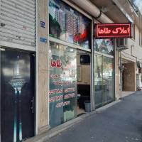 محمدمرواریدی پروفایل