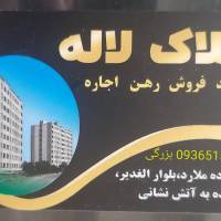 محمد بزرگی پروفایل