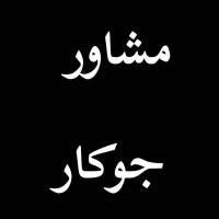 امیر جوکار پروفایل