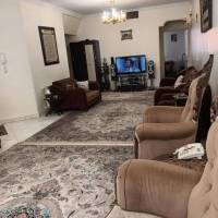 مشاور مصطفی شیبانی پروفایل