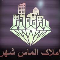 محمد باقری پروفایل