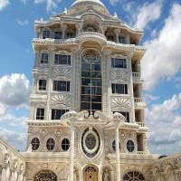 محمدامین کوراوند پروفایل