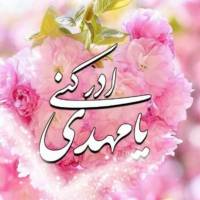 رضا رهنما پروفایل