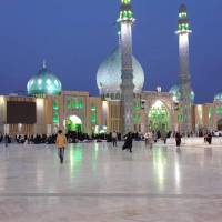  محسن قادری  پروفایل