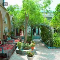 علی صفا پروفایل