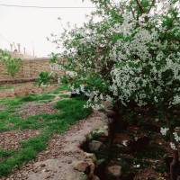 امیر سردیوند چگینی  پروفایل