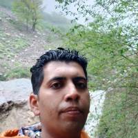 مشاور علیرضا دستوار پروفایل