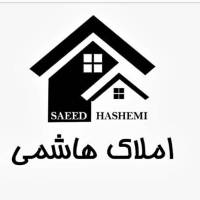 سعیدهاشمی پروفایل