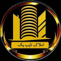 محمدعلی کریمی پروفایل
