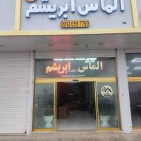 سامان طیبان  پروفایل
