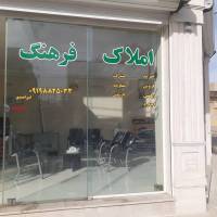 امیراحمدی  پروفایل