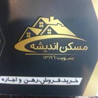 امین قاسمیان پروفایل