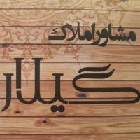 شاهرخ اسدپور پروفایل