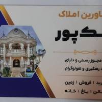 بابک ملک پور پروفایل