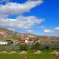 مهدی بوربوری پروفایل