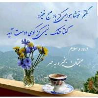 موسی ابراهیمی  پروفایل