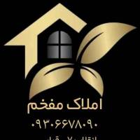 مجتبی شایان پروفایل