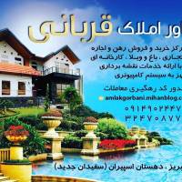 مشاور املاک قربانی اسپیران  پروفایل